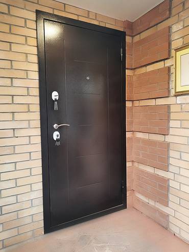 Дверь с рисунком на металле