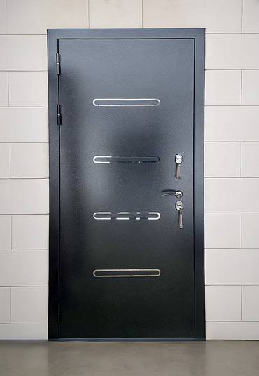 Порошковая дверь со вставками хром